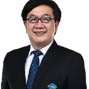 TANI TAN TECK THYE (TANI TAN)