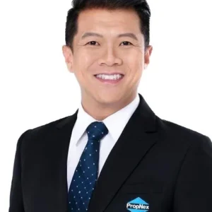 LEE KOK AN (ELSON LEE KOK AN)