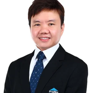 WONG GEOK LAN (JOE WONG)