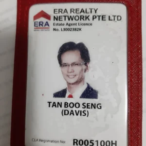 TAN BOO SENG (DAVIS TAN)