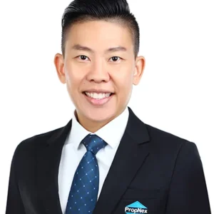 LIM WEI TING (DONNY LIM)
