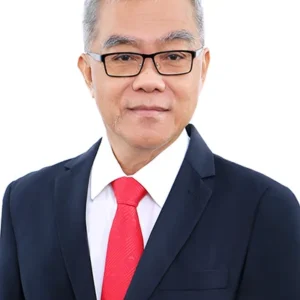 NG AH HENG (JOHNSON NG)