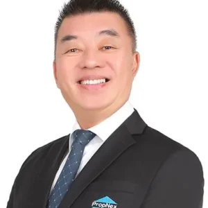 DESMOND TAN TONG CHEW (DESMOND TAN)