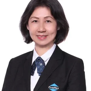 TAN CHIN KIM (C K TAN)