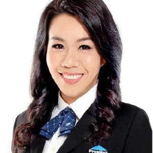 HO THENG THENG (TINGE HO)