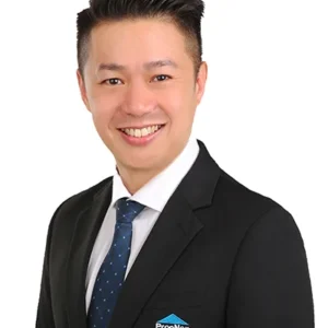 DESMOND LAU KOON HWEE (DESMOND LAU)