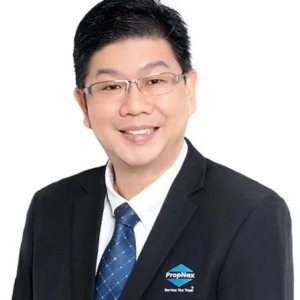 LEE LIAN SIONG, ANTHONY (ANTHONY LEE L S)