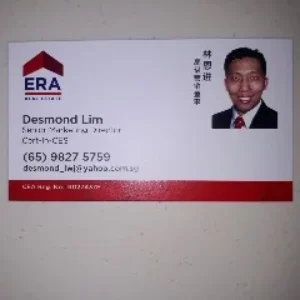 LIM WOON JIN (DESMOND LIM)