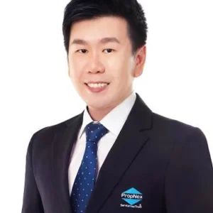 HENG TSE-LOONG, LINCOLN (LINCOLN HENG)