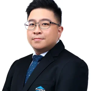 TAN SIANG GUAN, VINCENT (VINCENT TAN)