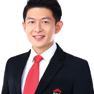 RAY TAN YONG JUN (RAY TAN YONG JUN)