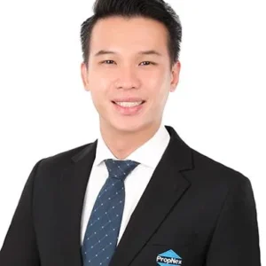 TAN KENG HOE, RAYMOND (RAYMOND TAN)