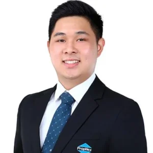 LEE JUN GEORGES (GEORGES LEE JUN)