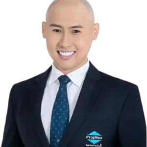 DYLAN NG DING EN (DYLAN NG)