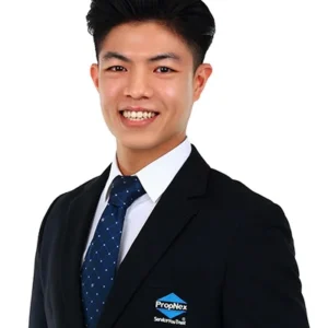 ALEX LEE WEE KIAT (ALEX LEE)