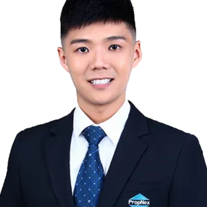 YEO SEE WEE, ALVIN (Alvin Yeo )